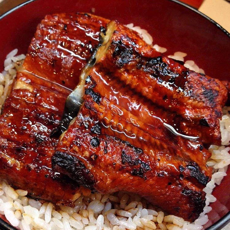 High quality japan frozen seafood wholesale Roasted eel fish