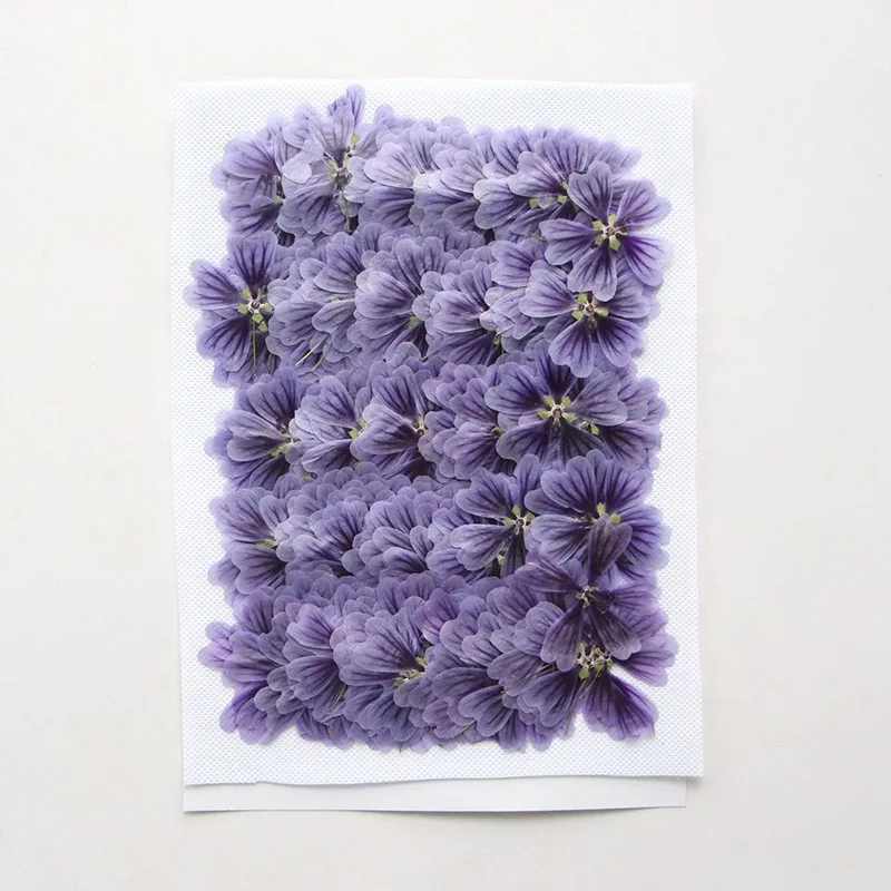 Factory Wholesale DIY material Dried flower pressed Mallow for Phone Case Nail Art Jewelry Postcard candle making decoration