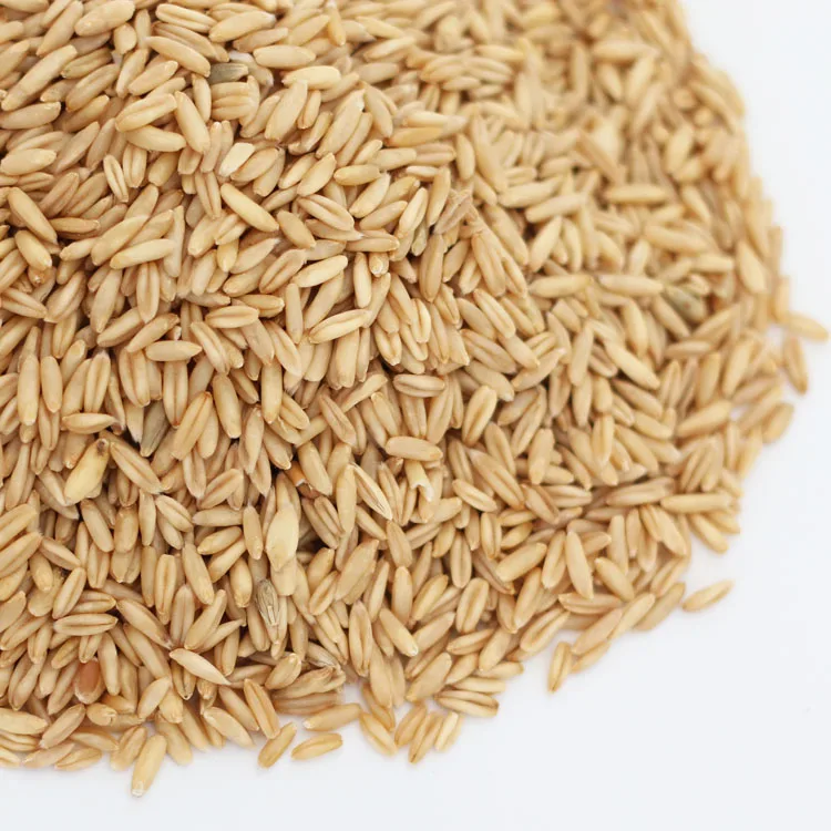 Organic Oat, Barley, Barley, Sorghum Suppliers,Grass grain Seeds, Juicing Sprouting cat grass
