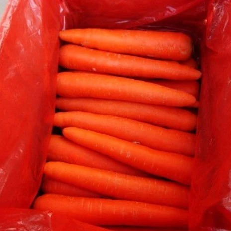 
Chinese fresh carrot from China 