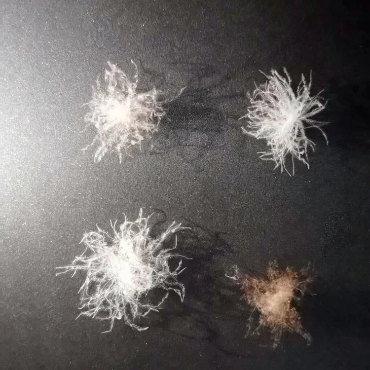 
Top Guality 95% Big Washed Muscovy White Duck Feather Down 