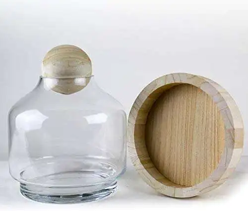 Garden wholesale vase clear glass terrarium plants with wooden base and wooden ball top