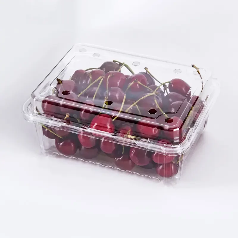 Eco Box Customized clear Trays Transparent Plastic Storage Food Grade Custom plastic bowl box With Lid