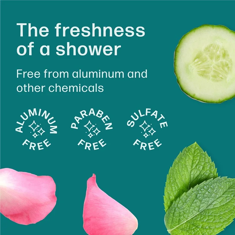 Portable Deodorant Body Cleansing Refreshing Wet Wipes