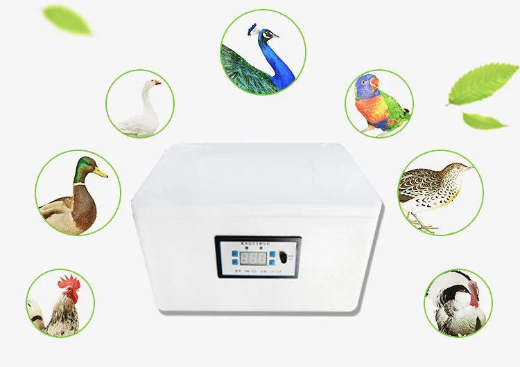 Full-automatic Household Water-bed Incubator Chicken Duck Goose Pigeon Peacock Egg Incubator