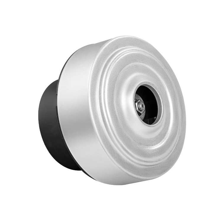 600W 48V 36V 24V brushless dc suction motor for vacuum cleaner