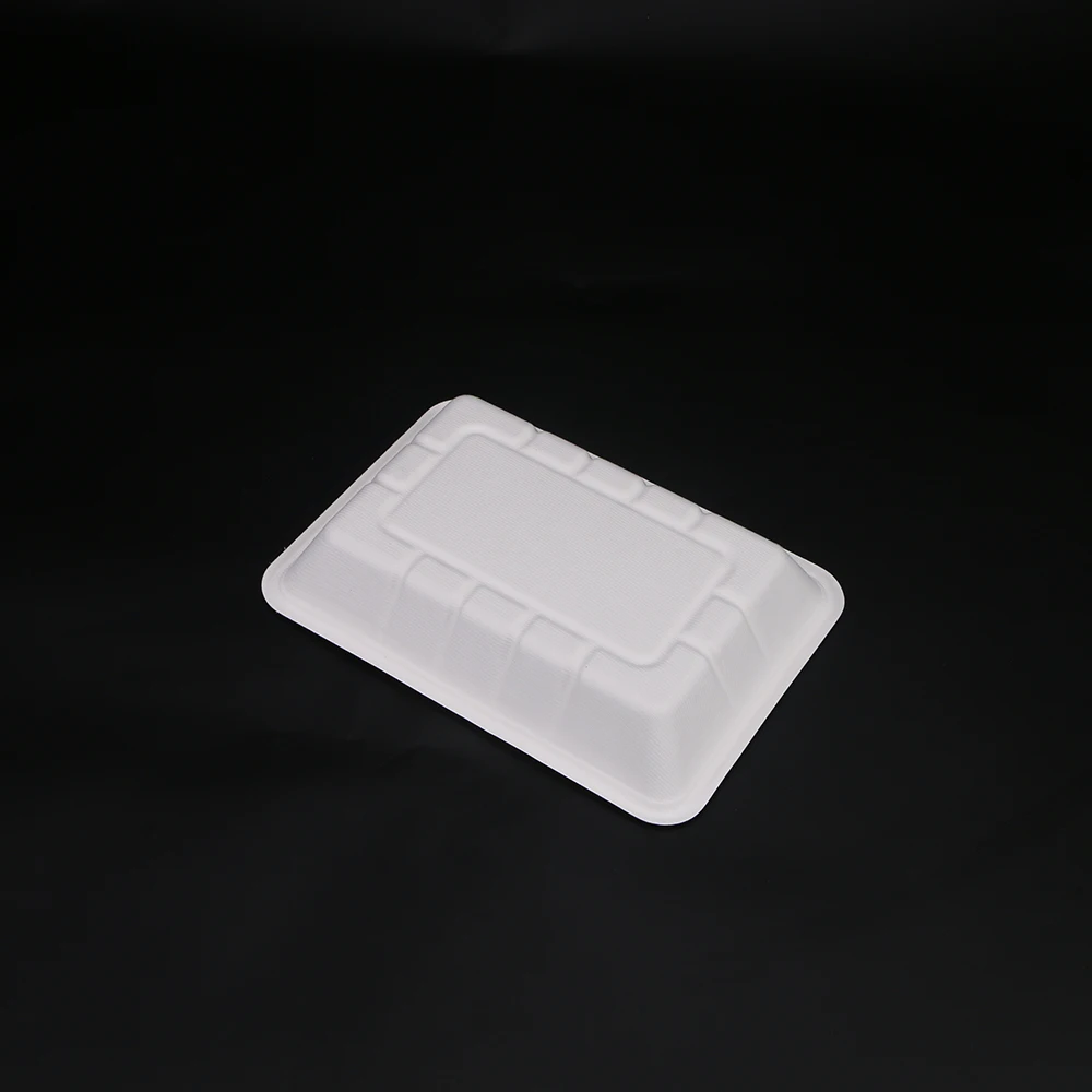Compostable Rectangular Bagasse Sugarcane Pulp Tray