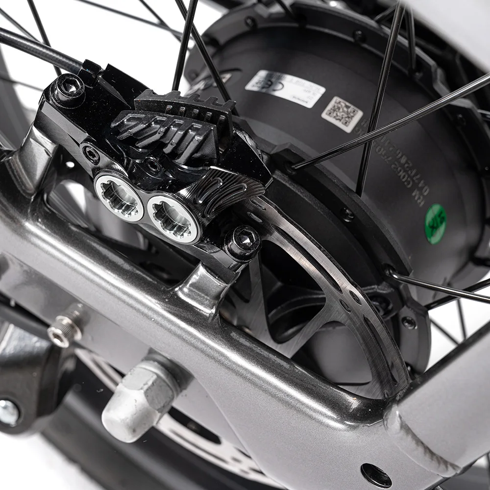 Mario 750w fat tire electric cargo bike with front&rear basket