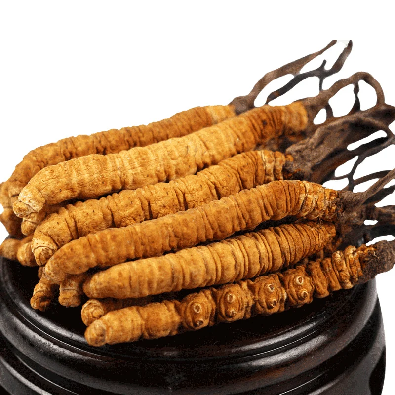 Nagqu 4600/kg dried Top Grade artificial Cordyceps sinensis high quality Cordyceps militaris mycelia