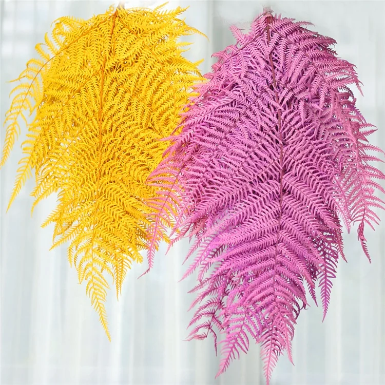 
2020 Amazon Hot sale Home decorative flowers Big Fern Leaf Real Natural Preserved flower Fern leaves 