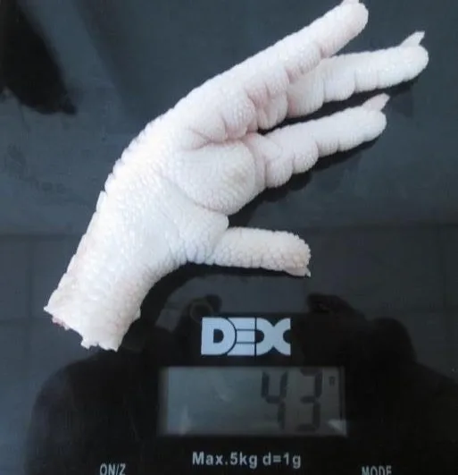 
Delicious Frozen Chicken Feet and Chicken Paws 