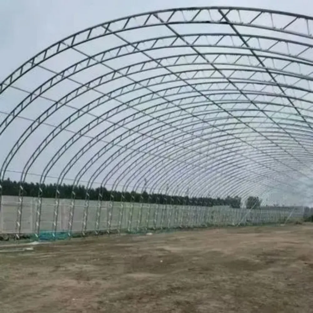 Оптовая продажа индивидуализированная теплица Двухрежимная известная АРКА оцинкованная стальная конструкция водонепроницаемая и теплая зимняя Солнечная