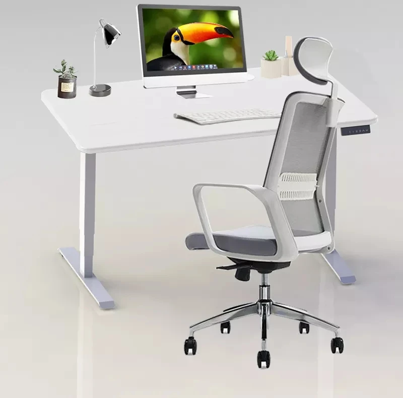 Wholesale Egronomic Height Adjustable Kids Study Table Base Motorized Dual Motor Standing Student Desk Frame