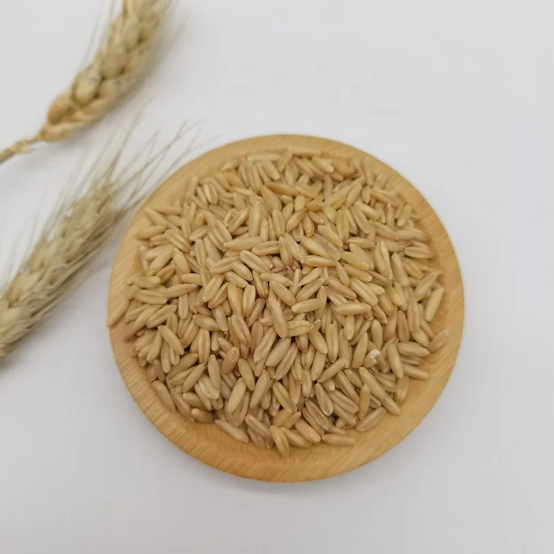 China Top Quality Wholesale Oat Groats/Oats Grain/Oat Without Shell for Sale at Cheapest