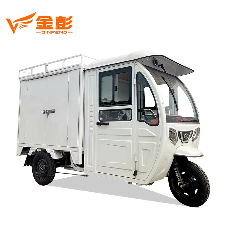 China Supplying Customized 3-Wheel Electric Trike Closed Cargo Wagon 60v Voltage for Adult Passenger Delivery Express