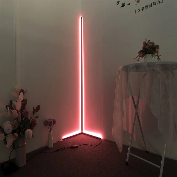 Western minimalist style RGB Colorful with remote control DC12v nordic led floor lamps standing corner
