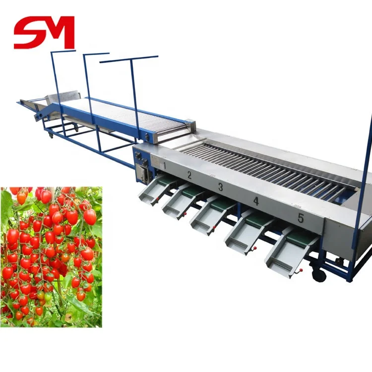 High Efficient Most World Popular Frozen Cherry Tomatoes Sorting Machine