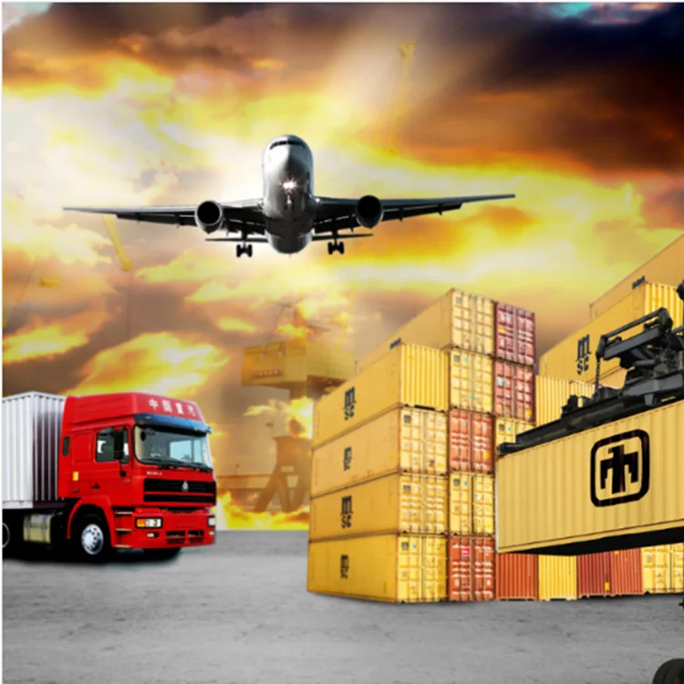 
Professional China Agent Sea Shipping Service From China to ROSEAU/BARAHONA/AZUA/MANZANILLO/PALENQUE/RIO HAINA/SANCHEZ/Dominican 