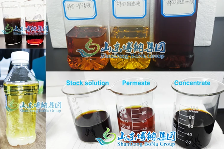 Freeze Concentration of Herbal Extract and Nutriceuticals Machinery