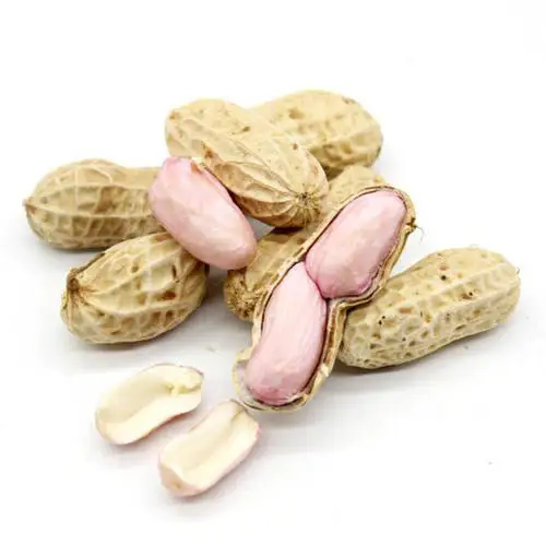 Chinese peanuts manufacturers in shell prices