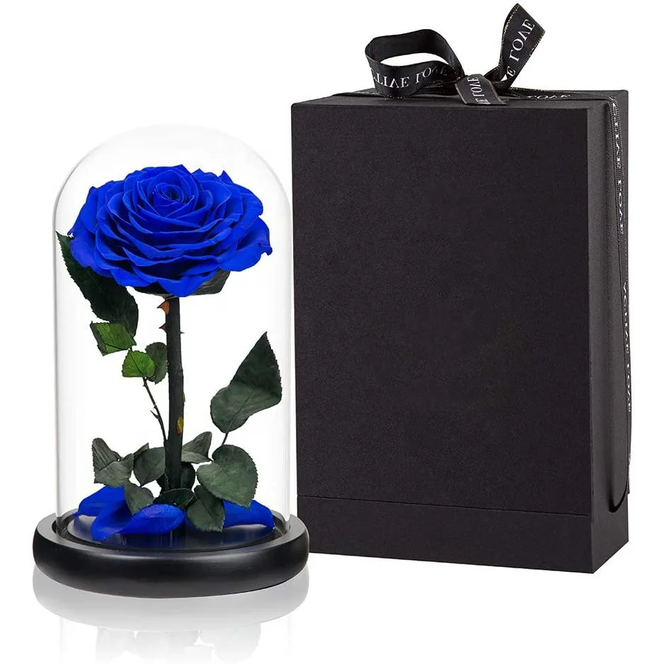 New Arrival Eternal Preserved Flowers Rosas Eternas Acrylic China Wholesale Blue Preserved Rose