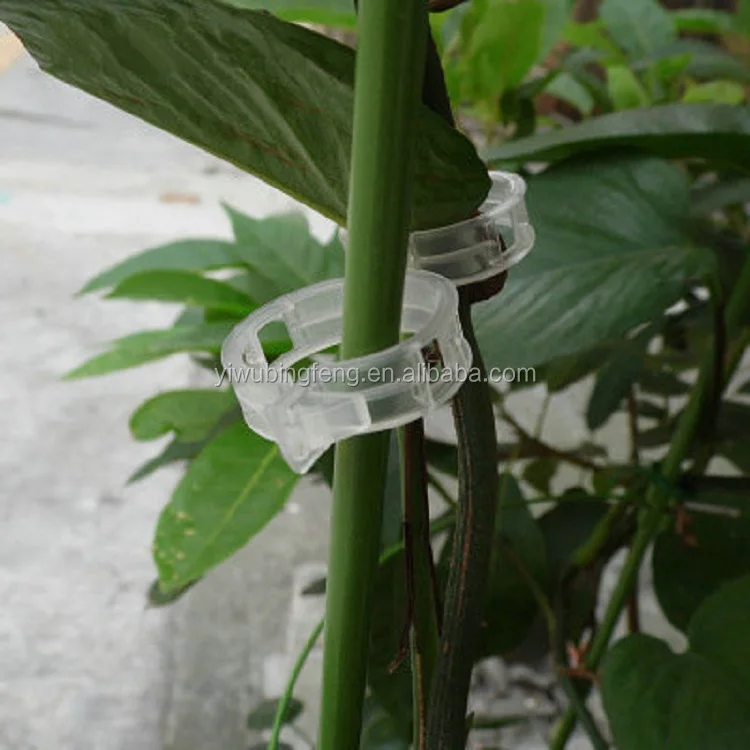 Free Sample Biodegradable PLA Tomato Plant Lock Clips For Fixed Tomato Vine