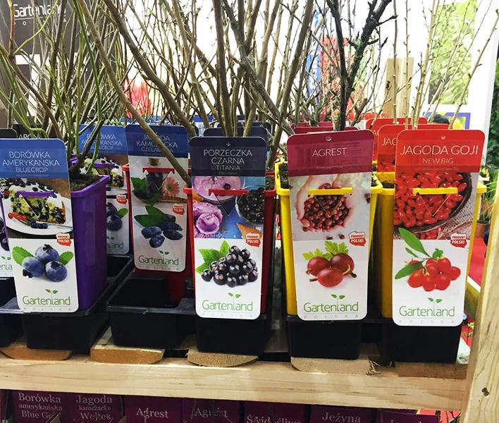 OEM garden plant label pot marker plant name tag