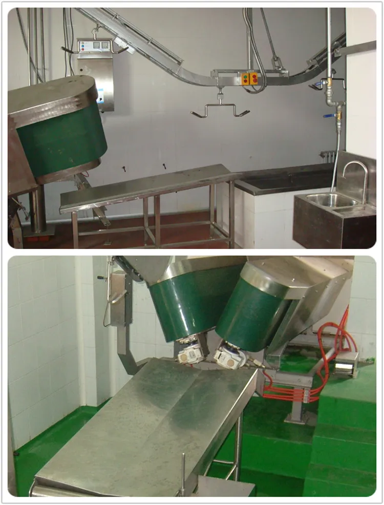 v_type_sheep_slaughtering_halal_ritual_killing_box_for_goat_abattoir