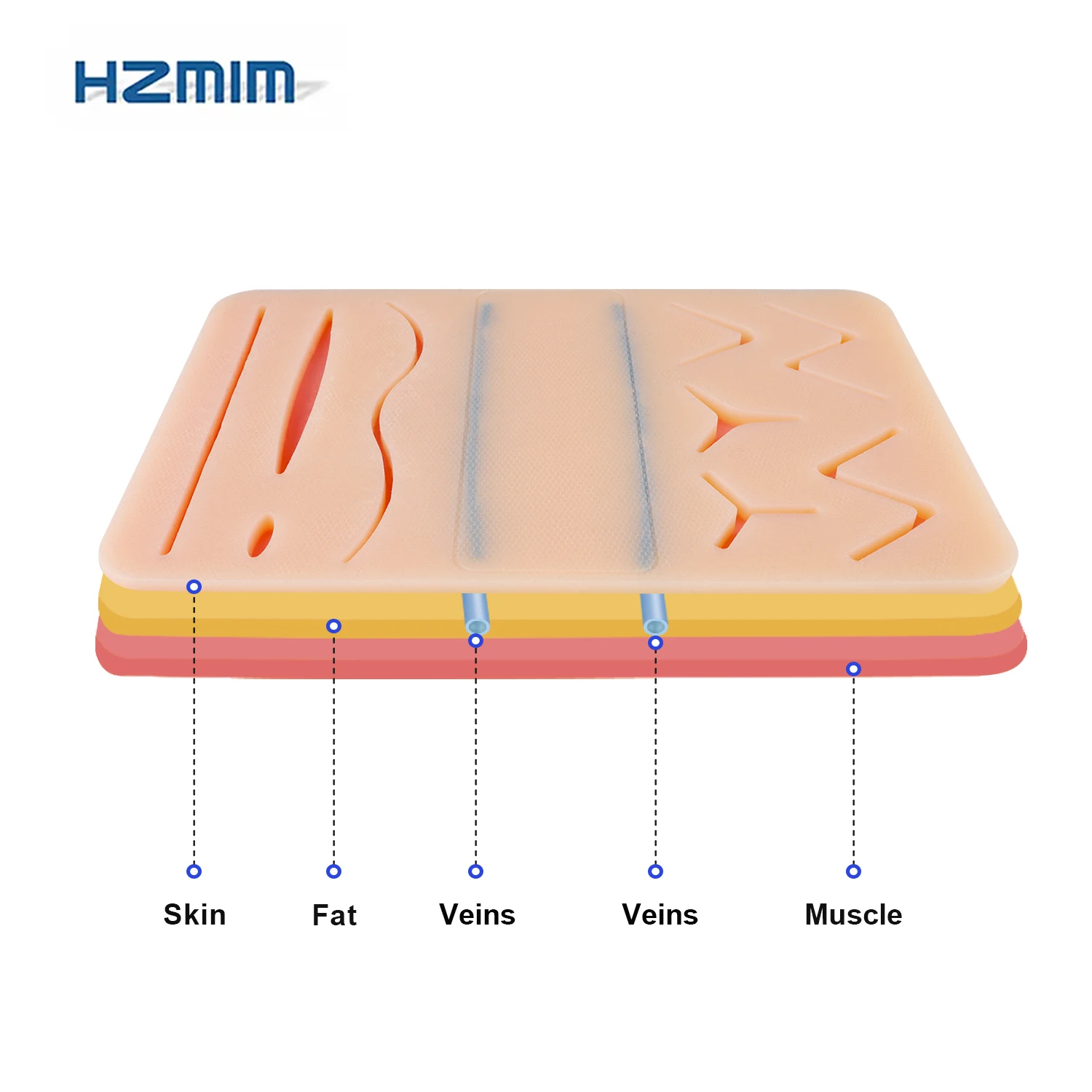 Multi-Functional Silicone Suture Practice and IV Injection Training Pad with 2 Veins for Medical Students and Doctors