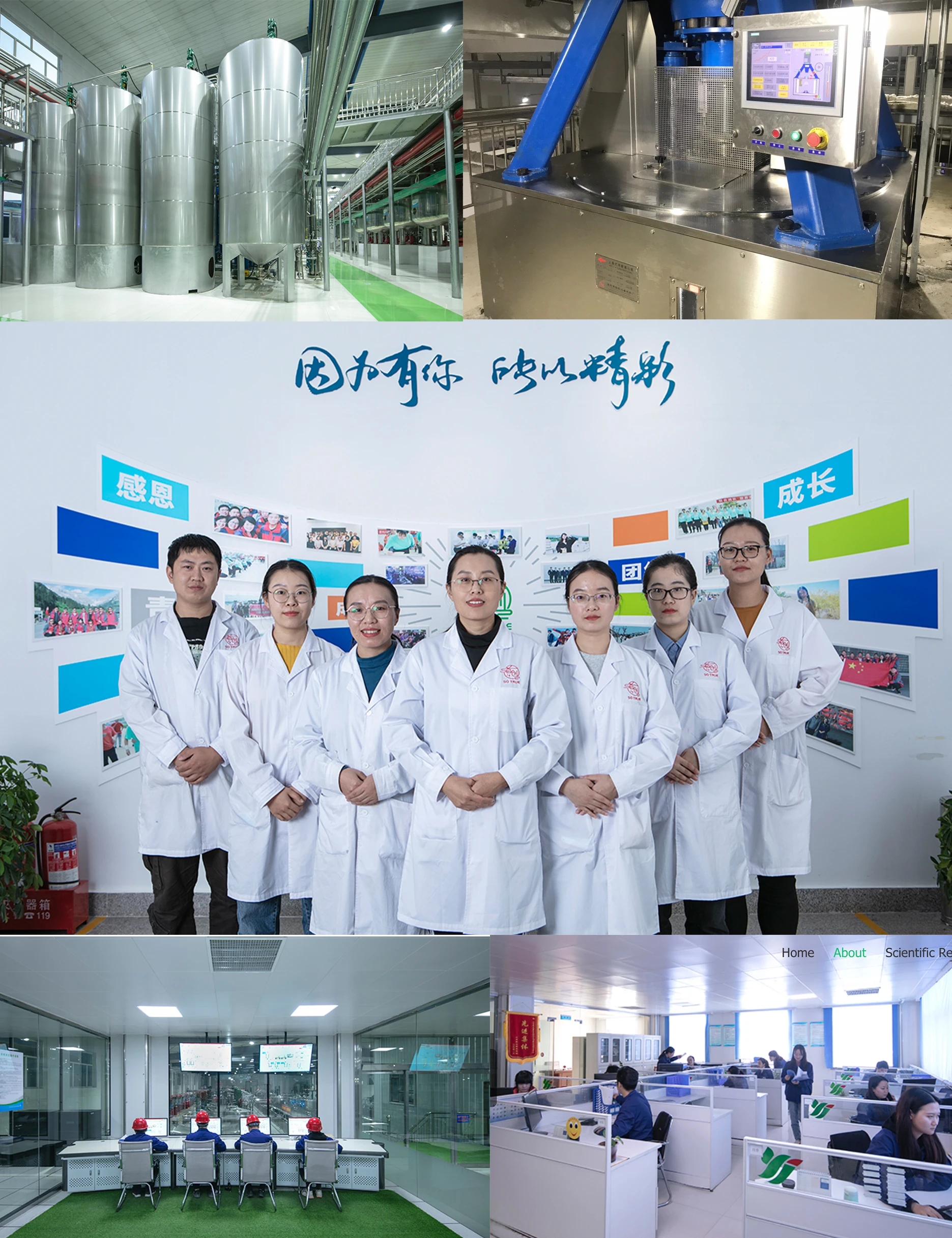 Wholesale 25KG Bulk Organic Sweetener Sugar Powder Monk Fruit Extract Erythritol/Stevia Extract Erythritol Blend