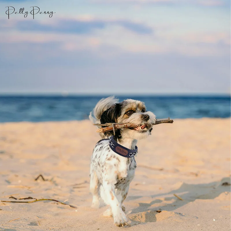 Premium Love Gift Pu Leather Dog Collar With Name, ID Tag