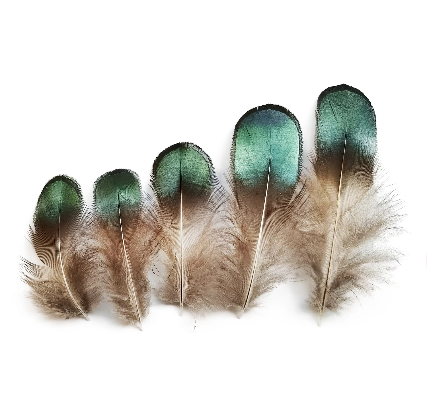 Happy Feather 100 pcs Green Pheasent Plumage Feather For Sewing Crafts Clothing Decorating Accessories
