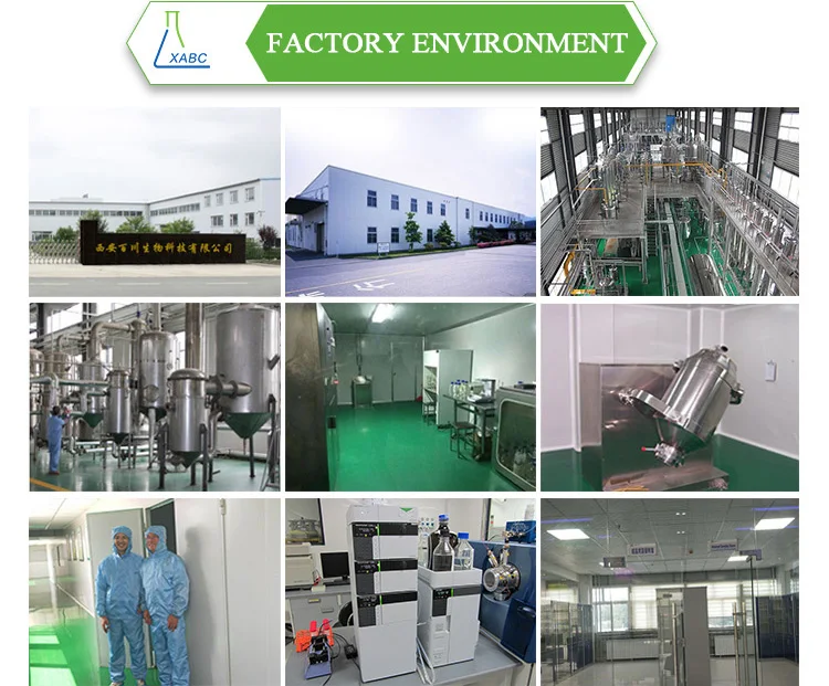 Fatory supply Bulk 98% Nicotinamide Adenine Dinucleotide NAD+ NAD bulk pure powder raw materials CAS 53-84-9