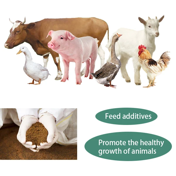 Chinese factory feed additives black soldier fly powder breeding