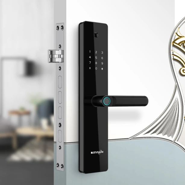 Multifunction Door Lock Ttlock Tuya App Control Fingerprint Unlock Easy Installation Dorr Bell Smart Home Door Lock