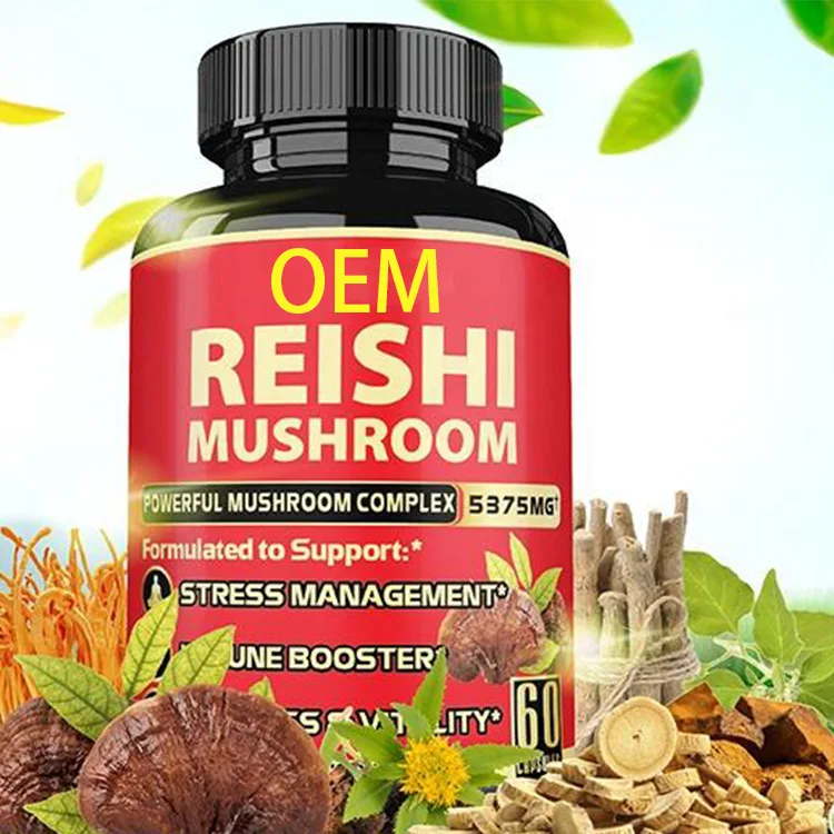 OEM Mushroom Supplement Capsules Manufacturer Mushroom Complex Capsules for Brain Supplements for Memory Focus Energy Support