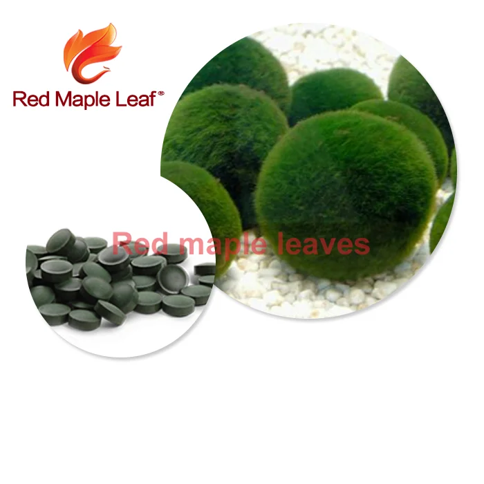 
GMP Manufacturing Coenzyme Q10 Softgel Capsules 