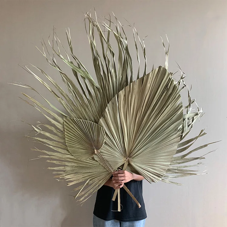 BX-2 Dried Palm Leaf Boho Style Natural Spears Plant dry flowers party decorations Decor Palm Leaves
