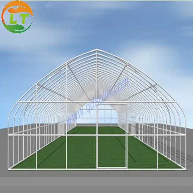 High strength Agricultural poly tunnel Green House/tomato greenhouse for sale