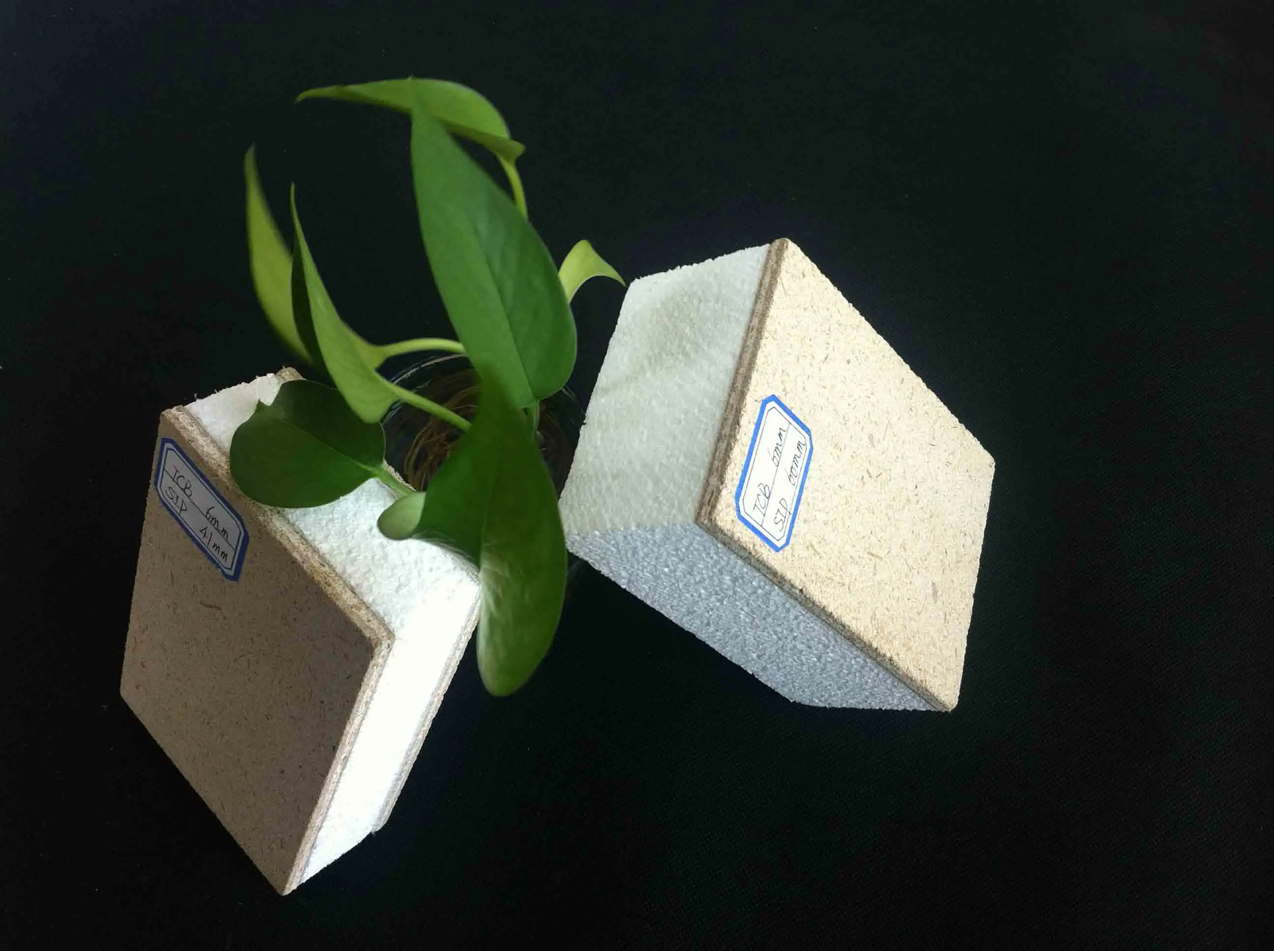 China Environmental friendly prefabricated homes/eps cement wall panel