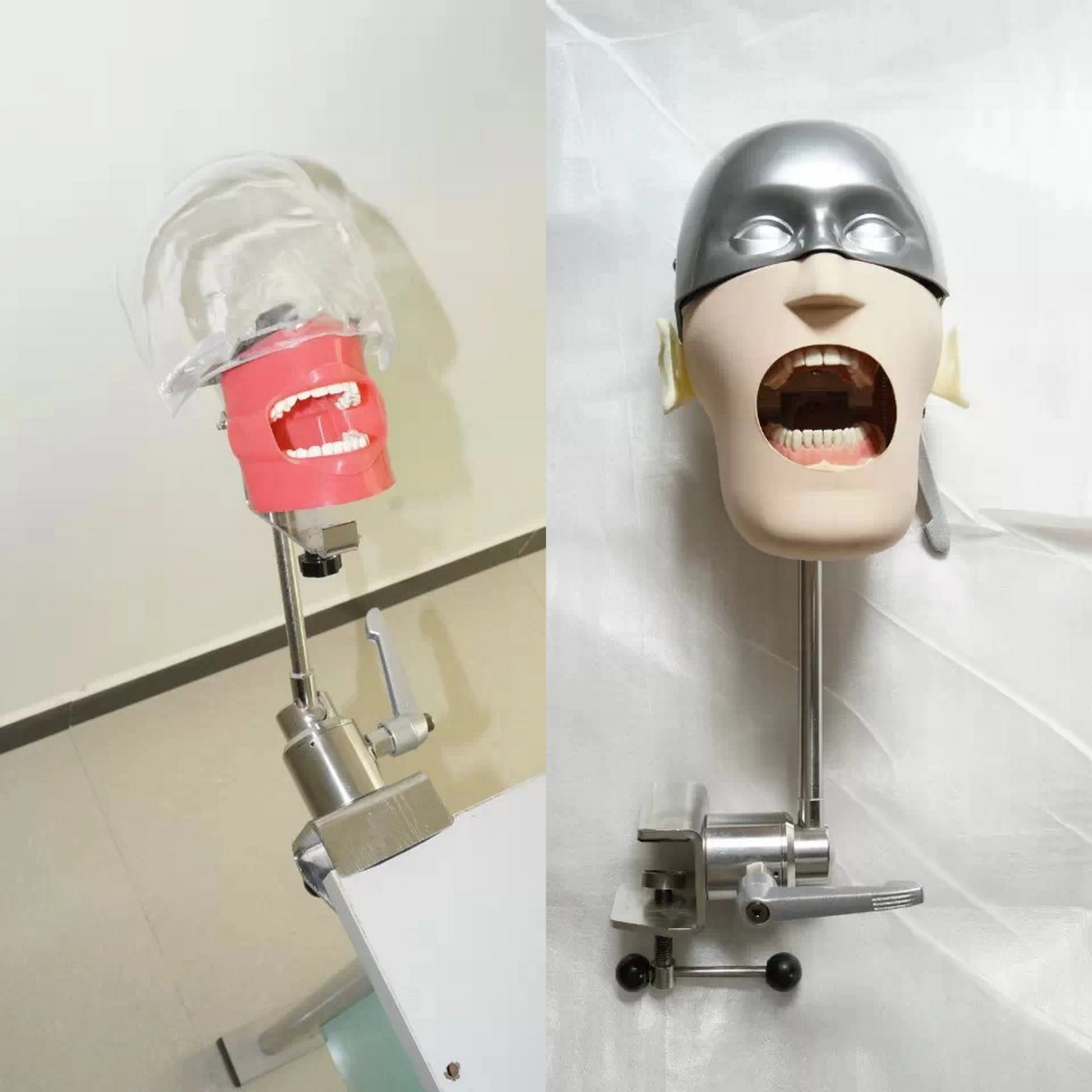 DT dental manikin advanced phantom head