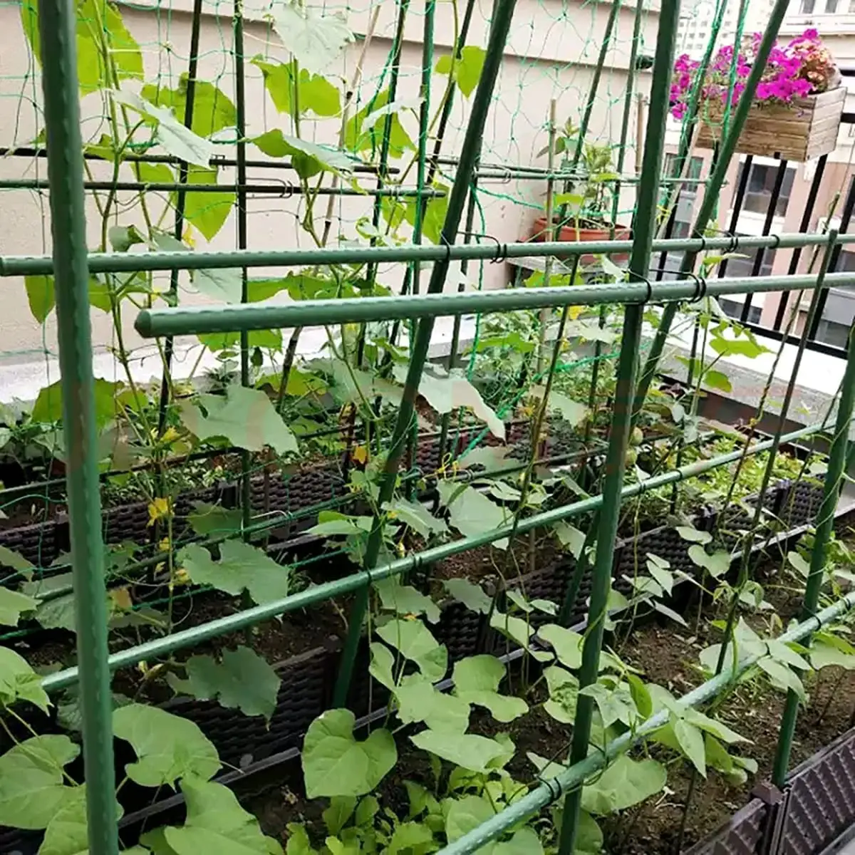 Plant Stakes Garden Tomato Sticks Supports for Potted Cucumber Strawberry Bean