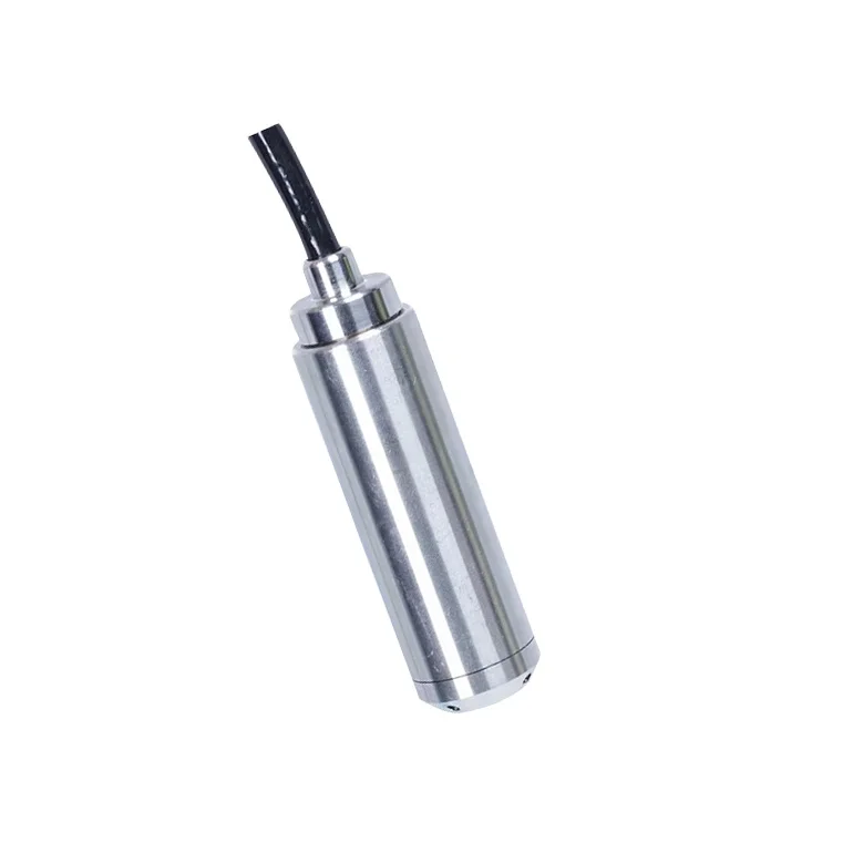 30m Analog RS485 Input Liquid Water Level Transmitter Probe Type Sensor water level