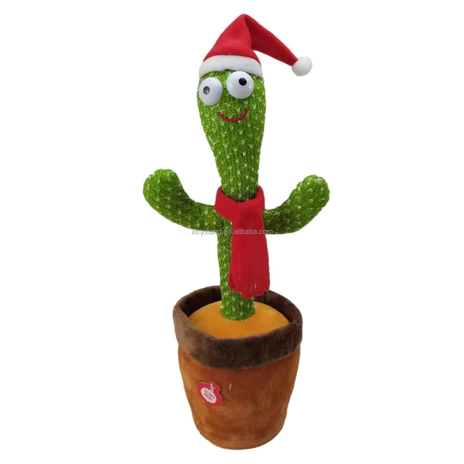 Dancing cactus 05
