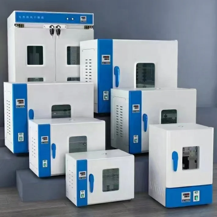 101-00BS 16L нержавеющая сталь Горячая воздушная циркуляционная сушильная печь для