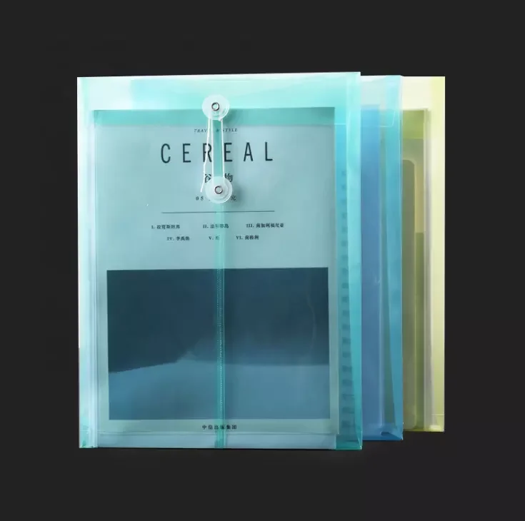 School Supply A4 Size Expandable Clear Expanding String Plastic File Bag Envelope Folder Document Bag Wallet