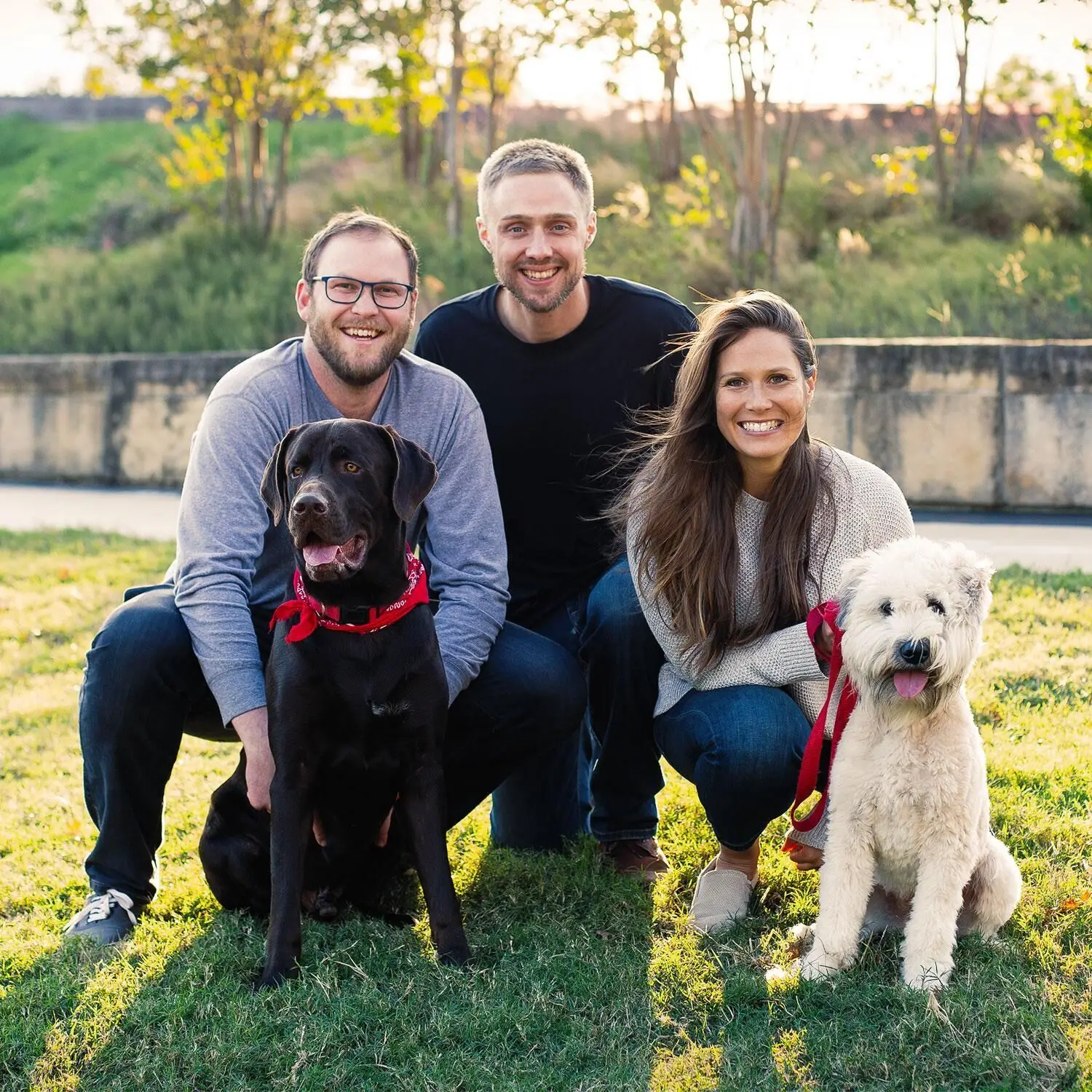 Natural Pet Supplement Probiotics Chews Support Seasonal Allergies & Immune System and Digestive Health for Dogs