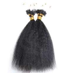 Raw cambodian unprocessed kinky straight virgin micro links ring human hair