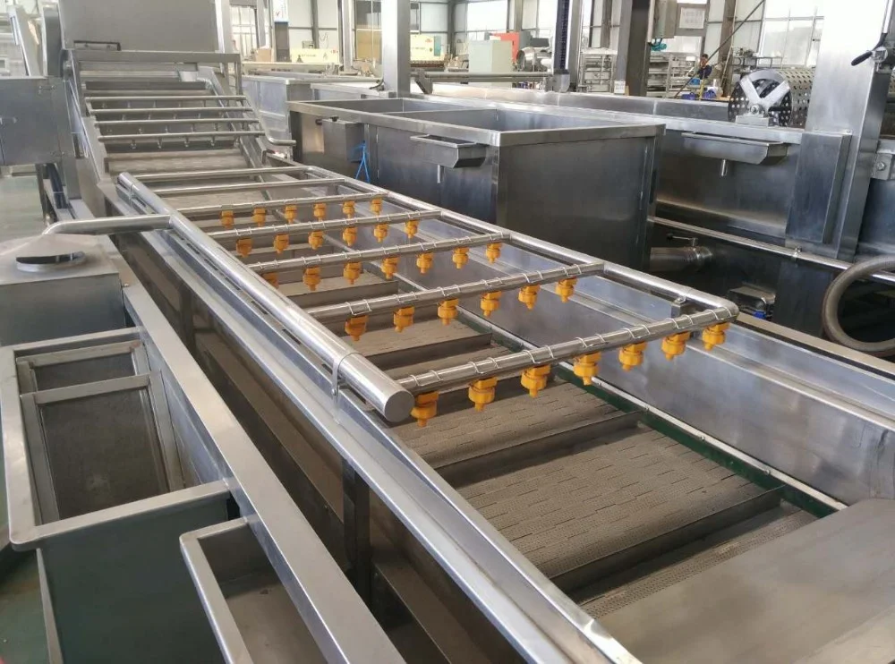 Commercial fruit washer equipment banana washing machine price