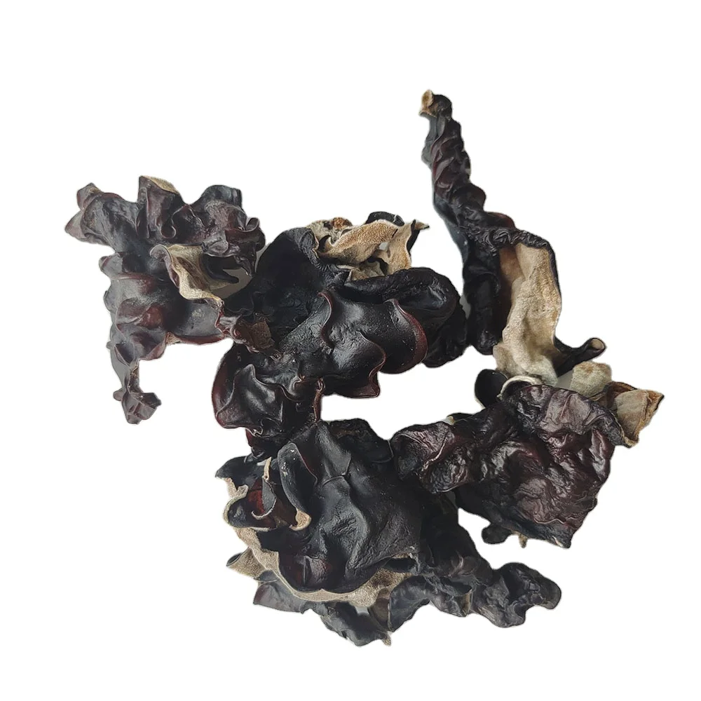 Dried white back black fungus cheap price wood ear mushroom third forth harvest  black fungus large size black fungi to Vietnam